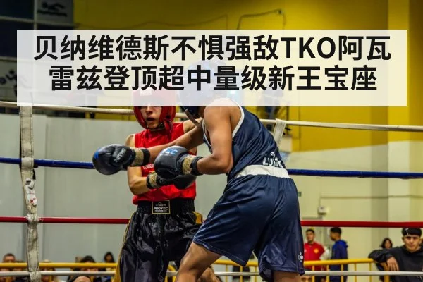 boxer in action